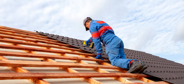 Best Rubber Roofing (EPDM, TPO)  in Carrollton, GA